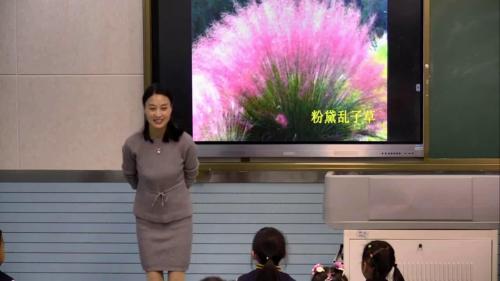 《7.可爱的动物》部编版道法一年级下册-胡老师-课堂实录