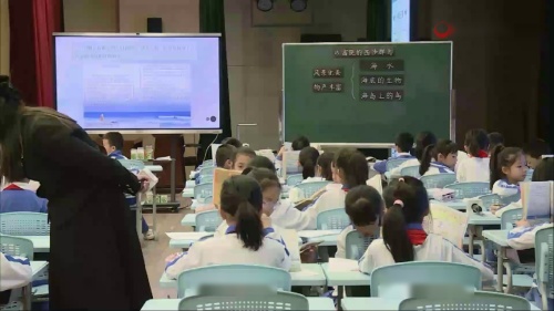 《父亲、树林和鸟》部编版语文三年级上册第七单元-第六届好课我来上教学视频