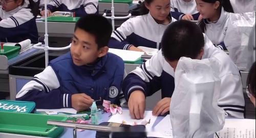 《呼吸运动 气体交换》2025人教版七下生物展示课视