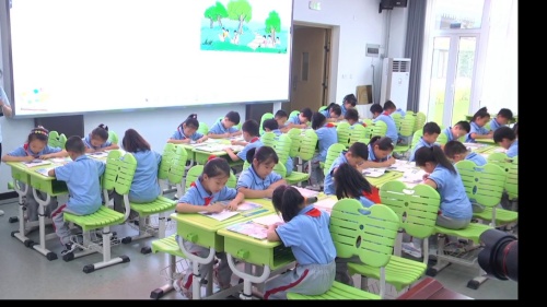 《加减法中的秘密》人教版二年级数学复习课特级教师观摩活动视频