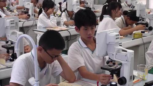 《形形色色的植物》人教版七上生物