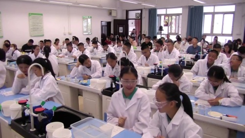 《薯片包装袋中的奥秘》人教版九年