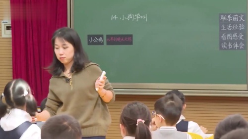 《富饶的西沙群岛》部编版语文三上-第六届好课我来上教学视频