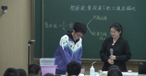 《物质能量下的土壤盐碱化》2025-