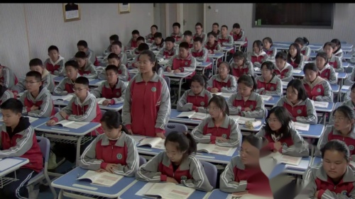 《汉武帝巩固大一统王朝》部编版初一历史上册优质课视频