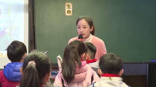 《4. 试种一粒籽》部编版道法三年级下册-吴老师-课堂实录