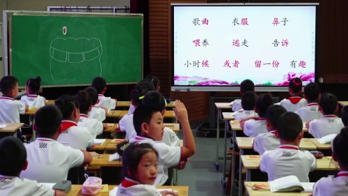 《坐井观天》部编版二上语文2025新教材培训研讨课视频