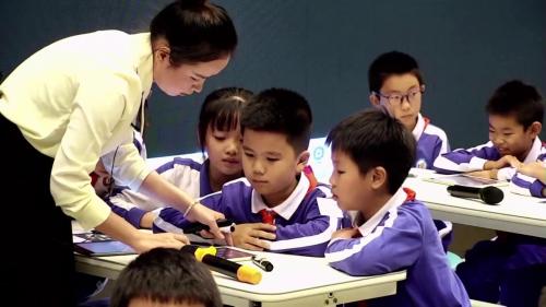 《观察与比较》2025教科版二下科学