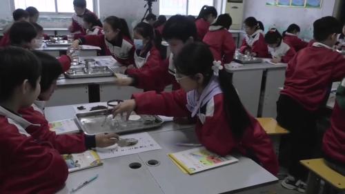 《听听声音》优质课教学视频-教科版四年级科学