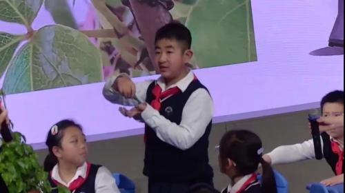 《神奇的小电动机》教研示范课教学