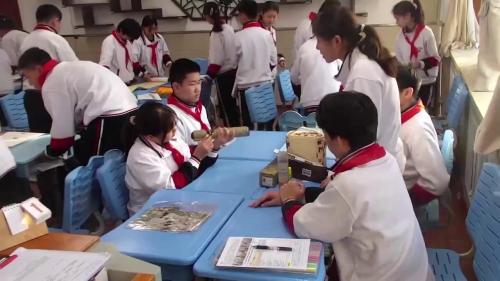 《我们的爱牙日》2025人教版六下美