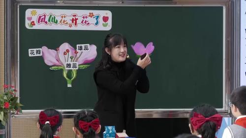 《会变的影子》人教鄂教版四年级下册优质课展示活动-西藏