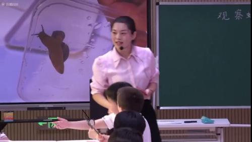 《哪个流动得快》教科版一下科学2025研讨课视频