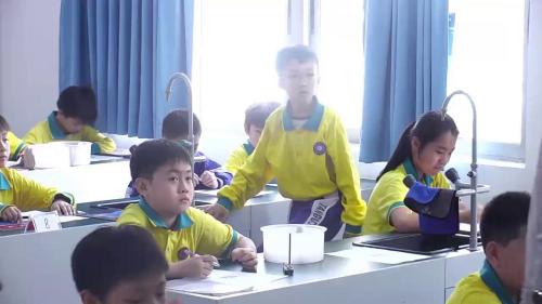 《我们的消化》教科版五下科学跨学科概念视角下的思维型教学展示课视频