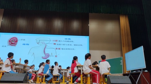 《我们的消化器官》青岛版三上2025年小学科学新教材培训展示课视频