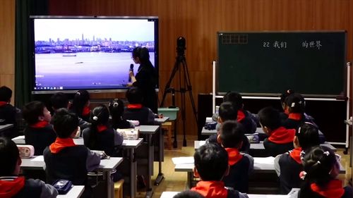 《蜜蜂》部编版三下语文2025素养展示课优课视频