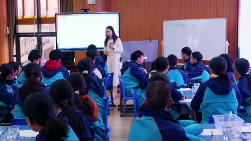 《制作微型密度仪》人教版九年级物理跨学科展示课视频