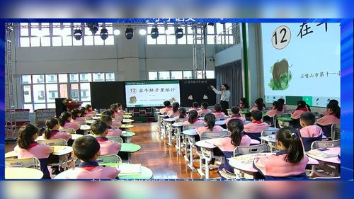 《读不完的大书》部编版三上语文20