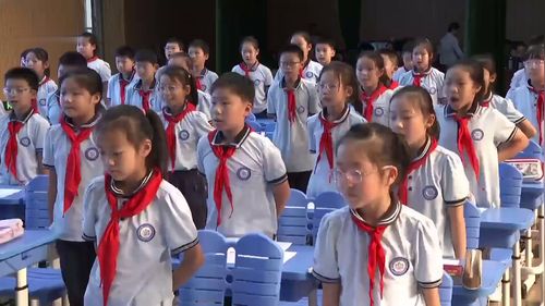 《囊萤夜读》2024年部编版四下语文现场课堂教学大赛特等奖视频