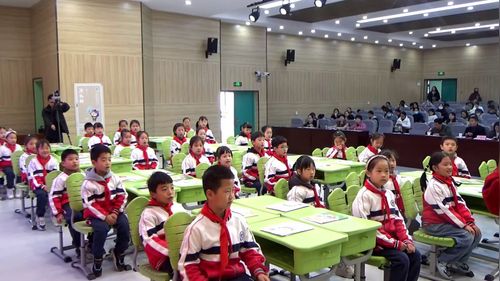 《一只想飞的猫——分享课》部编版二上语文2025新课标新教材新课堂整本书阅读展示课视频