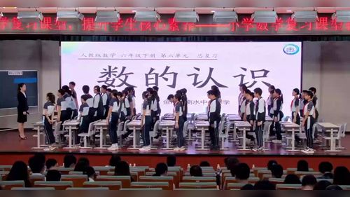 《数的认识总复习》人教版六下小学数学复习课型教学2025研讨课视频-王默涵