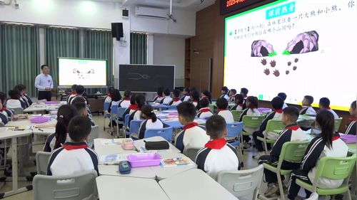 《一部分是多少》北师大版三下数学教学2025研讨课视频