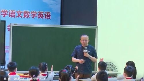《数据分类（二）》人教版二年级下册数学2025新教材新课标观摩研讨课视频