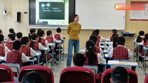 《植树问题》人教版五上数学展示课