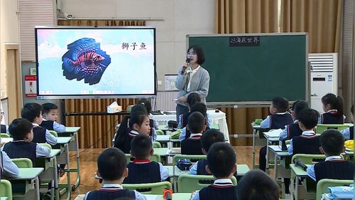《长大以后做什么》部编版二下语文2025成都第六届小学语文青年教师优质课竞赛课视频