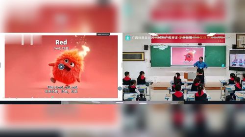 《Unit 4 Plants around us part B