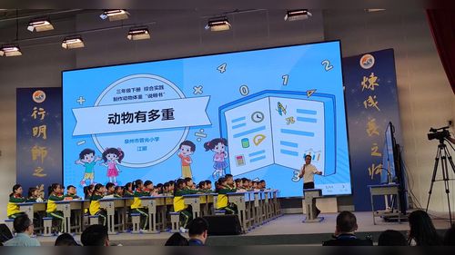 《丰收了》北师大版三年级上册2025