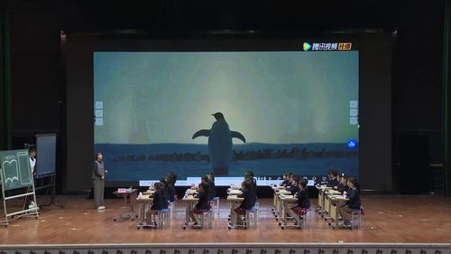 《纸船和风筝-第二课时》部编版语文三上展示课视频-执教-王意娟 28750