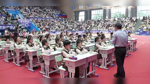 《三角形的分类》人教版四下2025四川省十市第二届小数联合教研活动观摩课视频