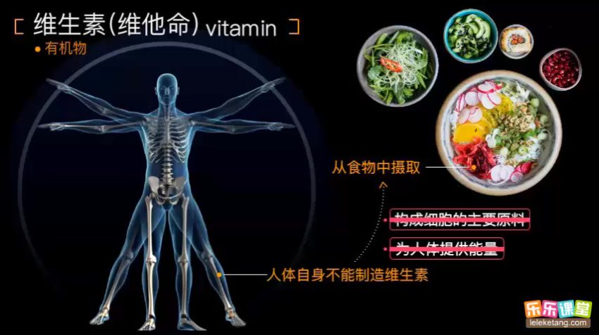 乐乐课堂初中生物高清动画视频：初一初二全解析