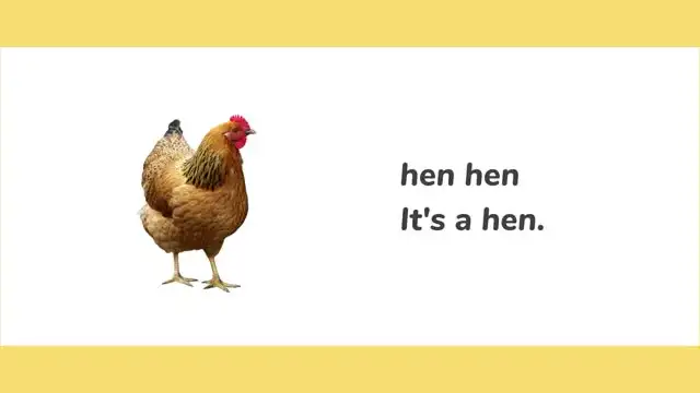 《女王带你唱读Raz》135集幼儿英语启蒙动画：儿歌学英语