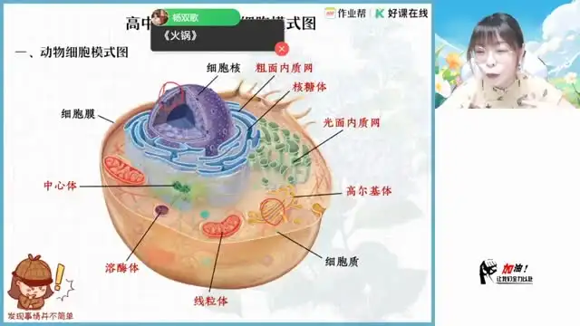2025高一全科网课：名师精讲，助力学霸之路