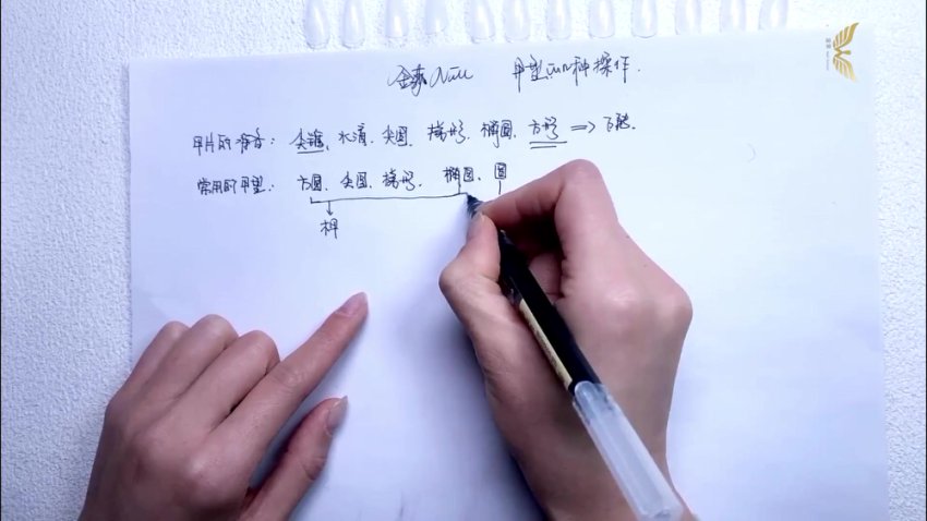 金菲美甲全科班：零基础到高级技法大全