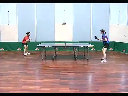 乒乓球速成指南：从入门到精通