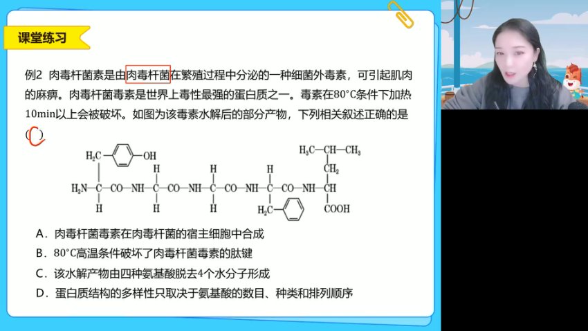 2025高一生物必修一系统精讲班：细胞结构与功能全突破