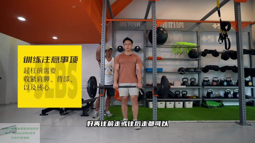 小萝卜四分化高阶健身课程：全年增肌周期训练指南