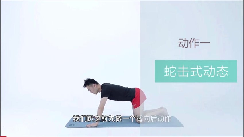 21天明星同款减脂塑形训练：告别赘肉，练出天鹅臂、小蛮腰、翘臀