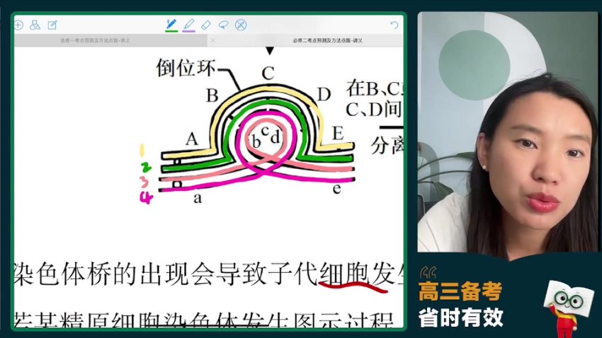 2024高三毛慧生物冲刺班-必修选修考点精讲+全设备观看指南