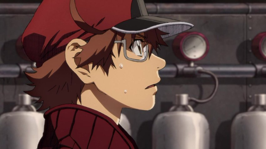 《工作细胞全集：三季35集+中配版+BLACK版1080P超清》