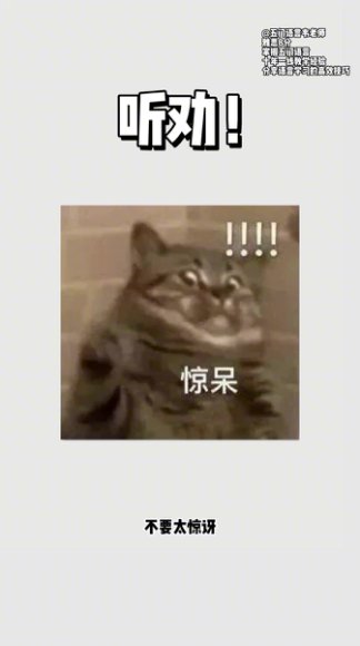 韦老师五国语言4000核心词汇速记营