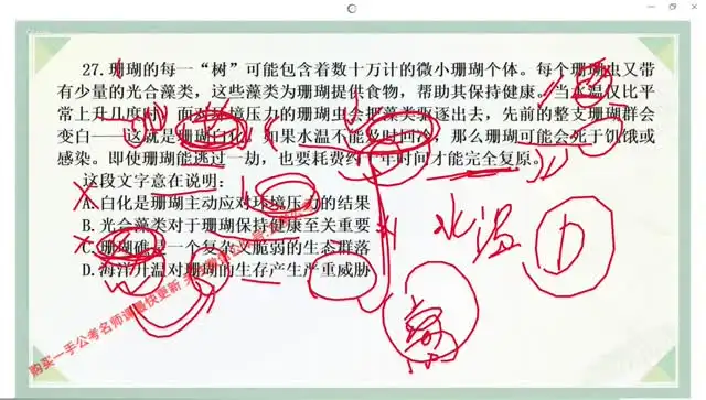 2024大懒猫言语强化课二期：高效提升言语技巧