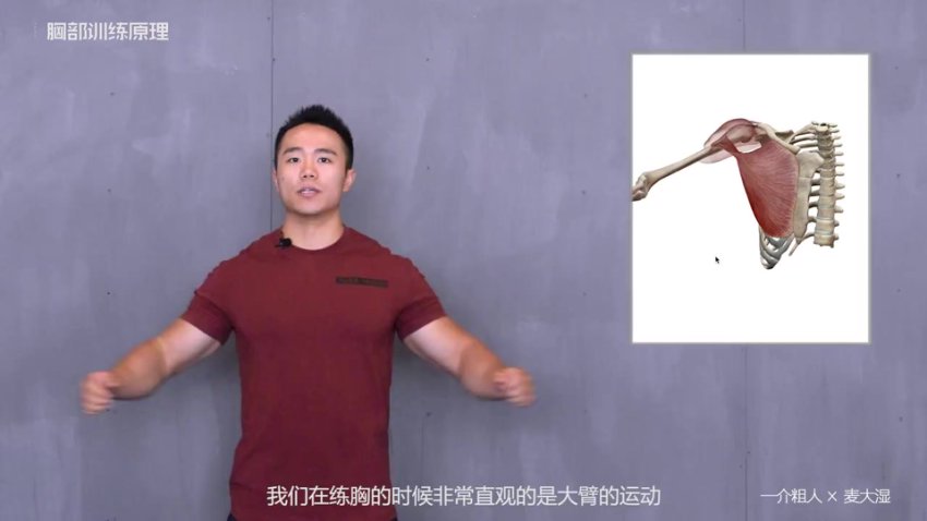 一介粗人x麦大湿：胸部训练入门到精通