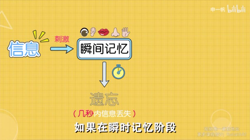 超强记忆力训练：全学科高效提分秘籍