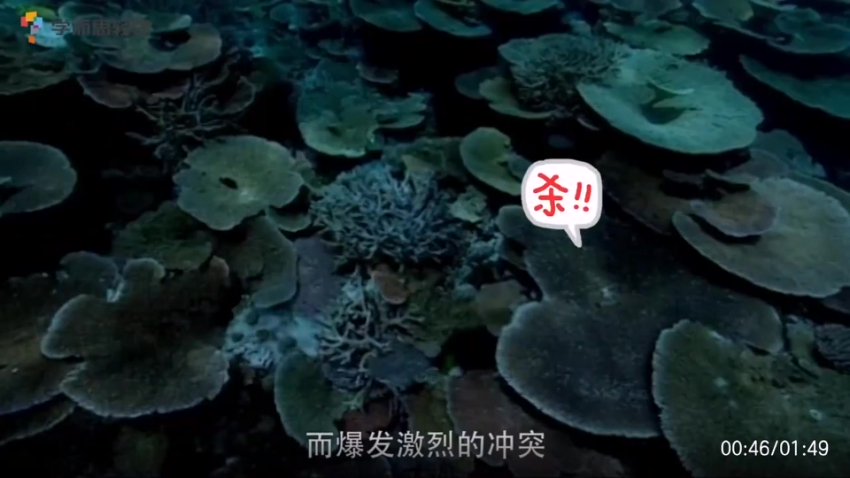 奇妙世界365问：儿童科普动画全集（升级版）