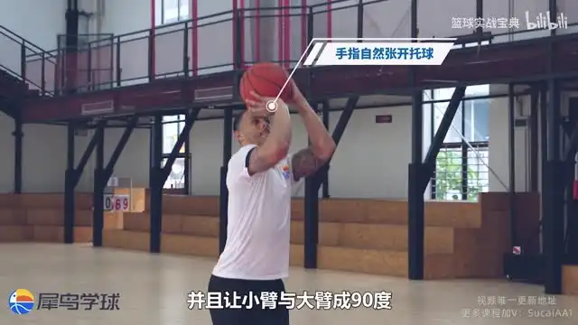 CBA冠军训练师篮球教程：从零基础到篮球高手