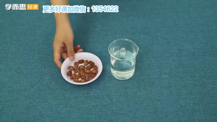 学而思轻课：好奇实验室中文科普动画全集